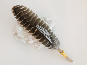 Smudge Feather